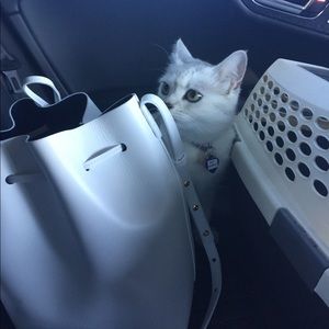 Mansur Gavriel Leather Bucket Bag